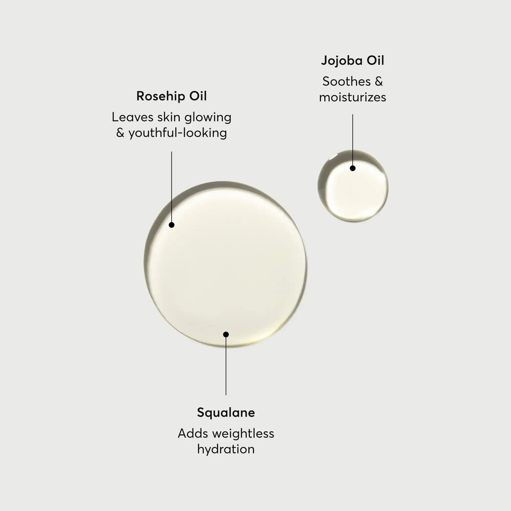 the-glow-getter-body-oil-e6 NATR-10115-Alt-Images-The-Glow-Getter-Body-Oil-01.webp